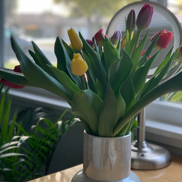 Meet your Posher, Rui - Picture 1 of 1